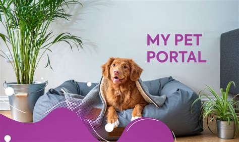 myoet|my pet portal.